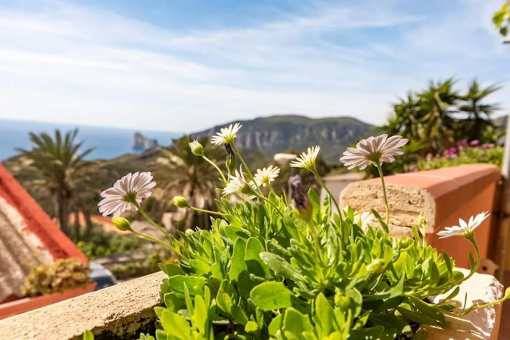 Holiday home Vista Sul Pan Di Zucchero - Nebida - Holiday House